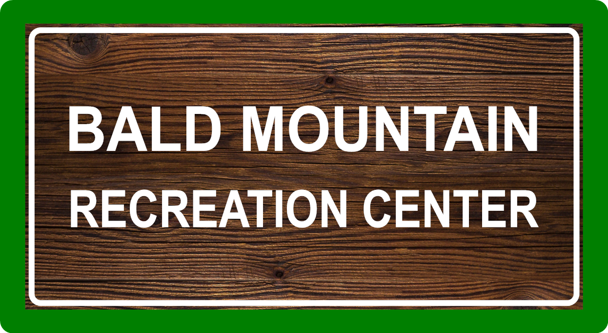 Custom Michigan State Park Sticker