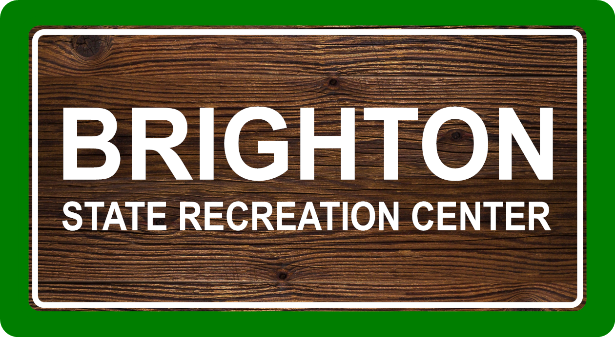 Custom Michigan State Park Sticker