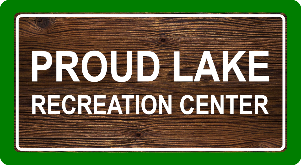 Custom Michigan State Park Sticker