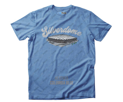 Detroit Stadiums - Silverdome