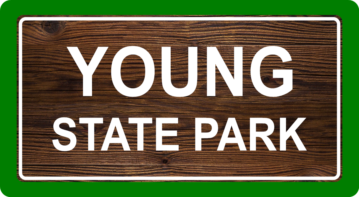 Custom Michigan State Park Sticker